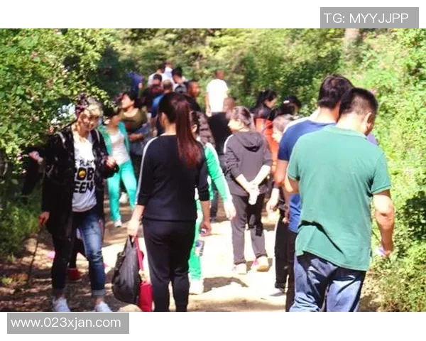 杭州篮球队逆袭之路挑战赛特别报道展现团队精神与奋斗历程