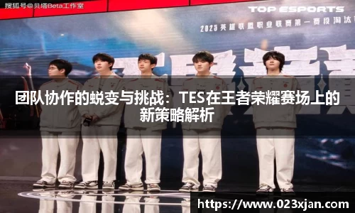 团队协作的蜕变与挑战：TES在王者荣耀赛场上的新策略解析
